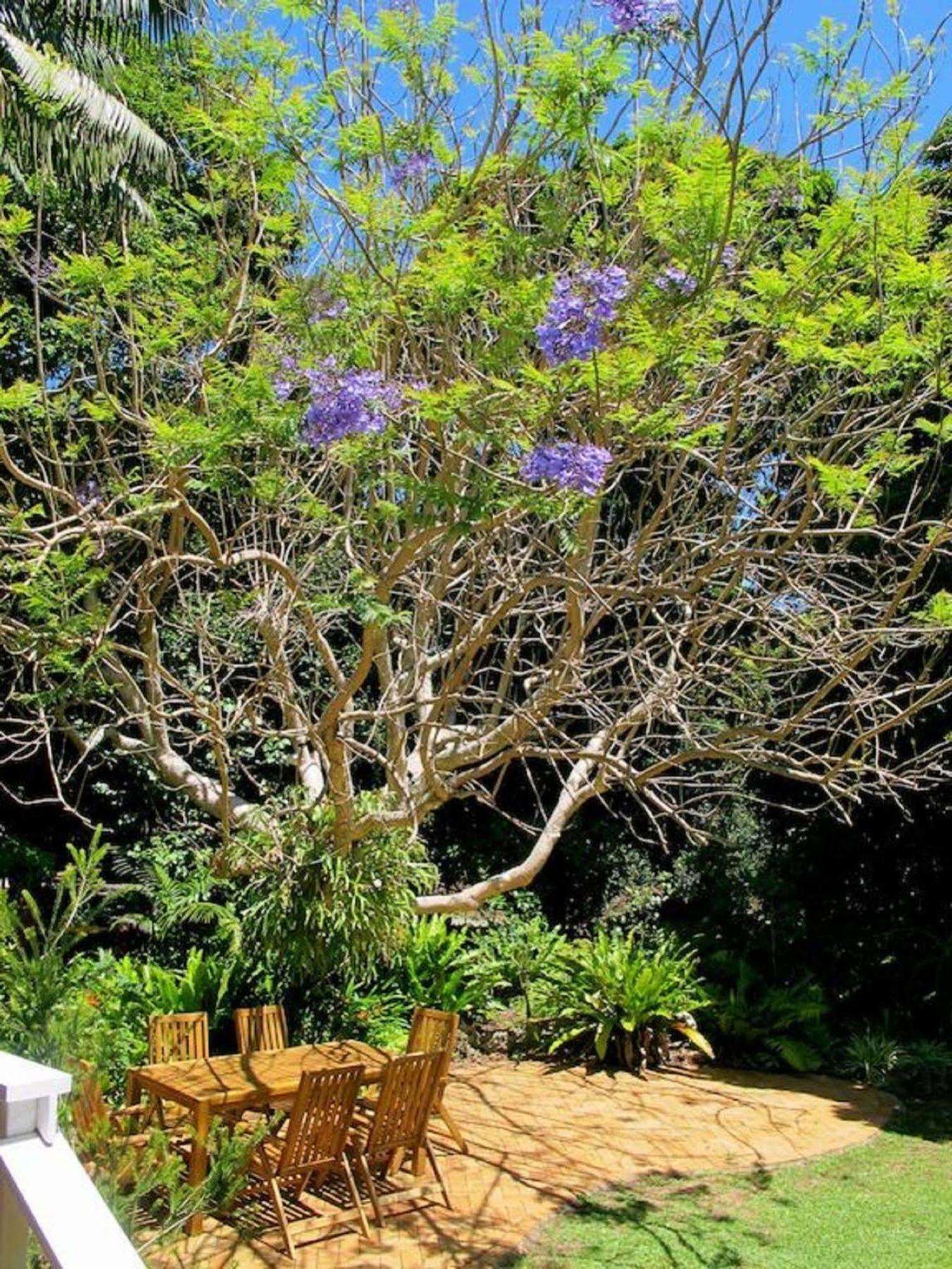 Beachcomber Lodge Lord Howe Island Zewnętrze zdjęcie